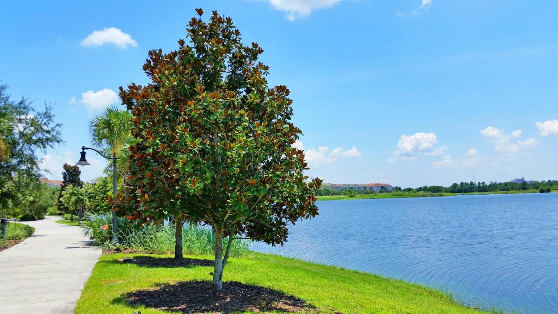 Resort Townhome: Perfect Orlando Vacation Spot Bagian luar foto